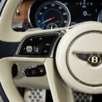 Vehicle photograph 100