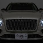 Vehicle photograph 129