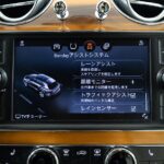 Vehicle photograph 89